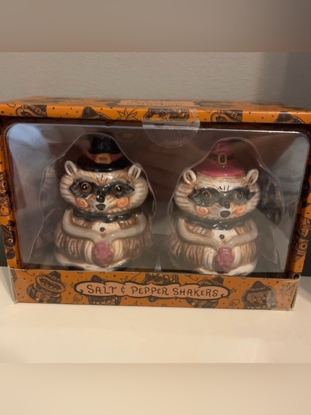 Halloween Raccoon Salt & Pepper Shaker Set (Brown, Pink)